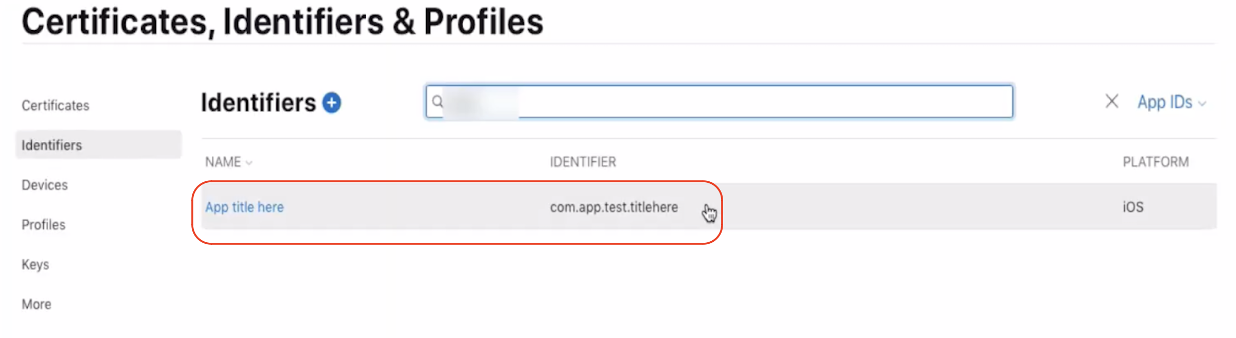 Identifiers Register