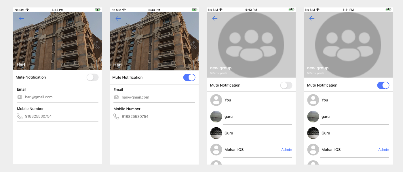 MuteUnmuteSingleGroupCustomisation